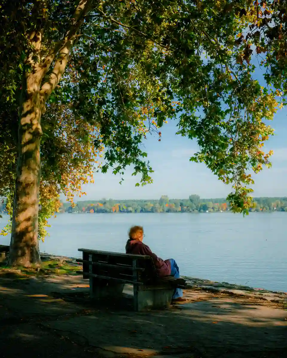 Une personne assise seule sur un banc au bord de l'eau, à l'ombre d'un grand arbre aux feuilles d'automne